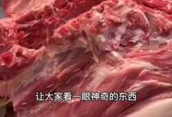 肉肉视频,揭秘美食背后的故事与魅力